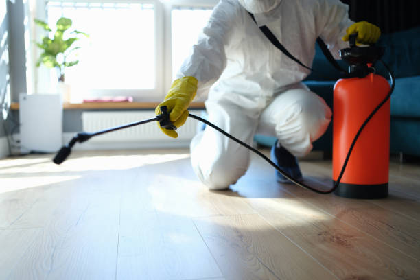 Reliable Biohazard Cleanup contractor in Albion, IL by Crime Scene Cleaner Online